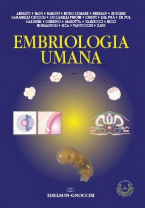 Embriologia Umana