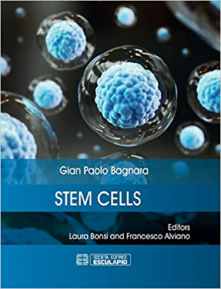 Stem Cell