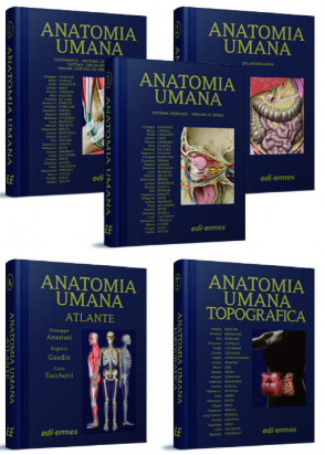 Anatomia Umana, Il Trattato e L' atlante