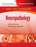 Neuropathology