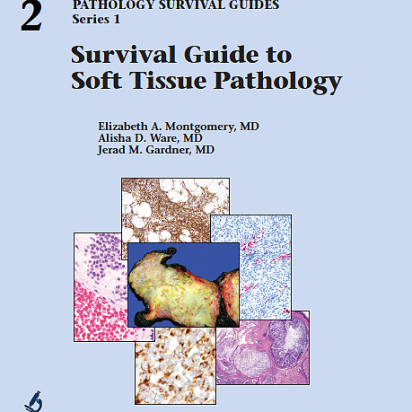 Survival Guide to Soft Tissue Pathology