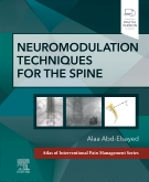 Neuromodulation Techniques for the Spine