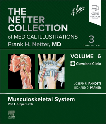 The Netter Collection of Medical Illustrations: Musculoskeletal System, Volume 6 Part I - Upper Limb 3rd Edition