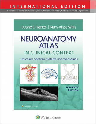 Neuroanatomy Atlas in Clinical Context Eleventh edition International Edition