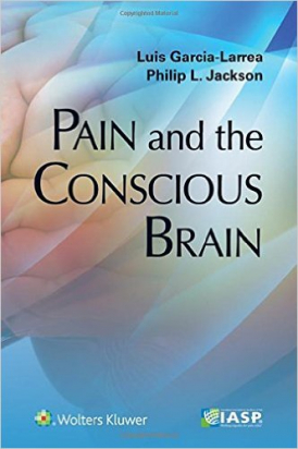 Pain and the Conscious Brain