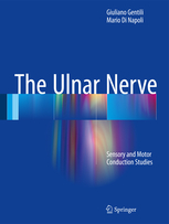 The Ulnar Nerve