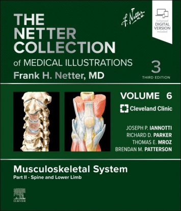 The Netter Collection of Medical Illustrations: Musculoskeletal System Volume 6 Part II - Spine and Lower Limb 3rd Edition