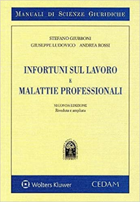 Infortuni sul Lavoro e Malattie Professionali - 2/e 