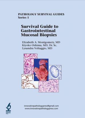 Survival Guide to Gastrointestinal Mucosal Biopsies