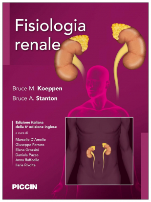 Fisiologia renale