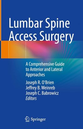 Lumbar Spine Access Surgery